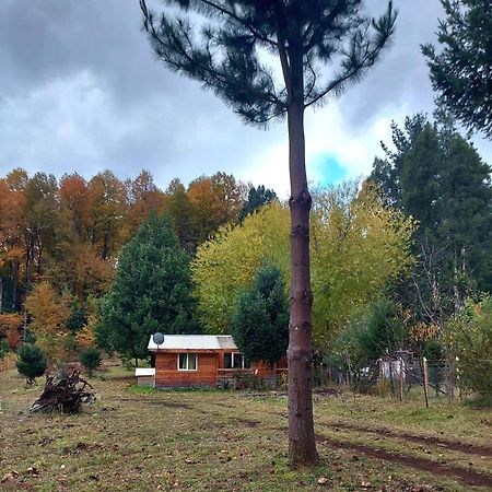 Cabaña para 3 en Melipeuco cerca del Parque Nacional Conguillio Bagian luar foto