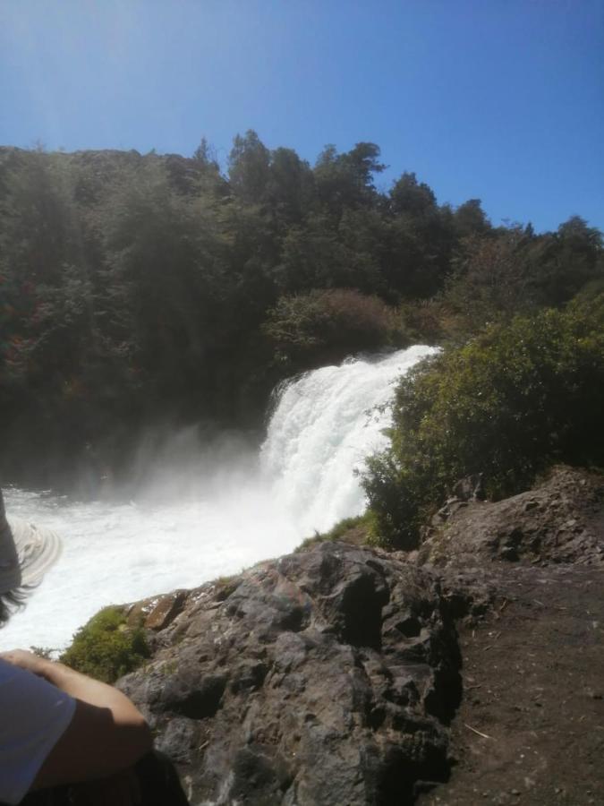 Cabaña para 3 en Melipeuco cerca del Parque Nacional Conguillio Bagian luar foto