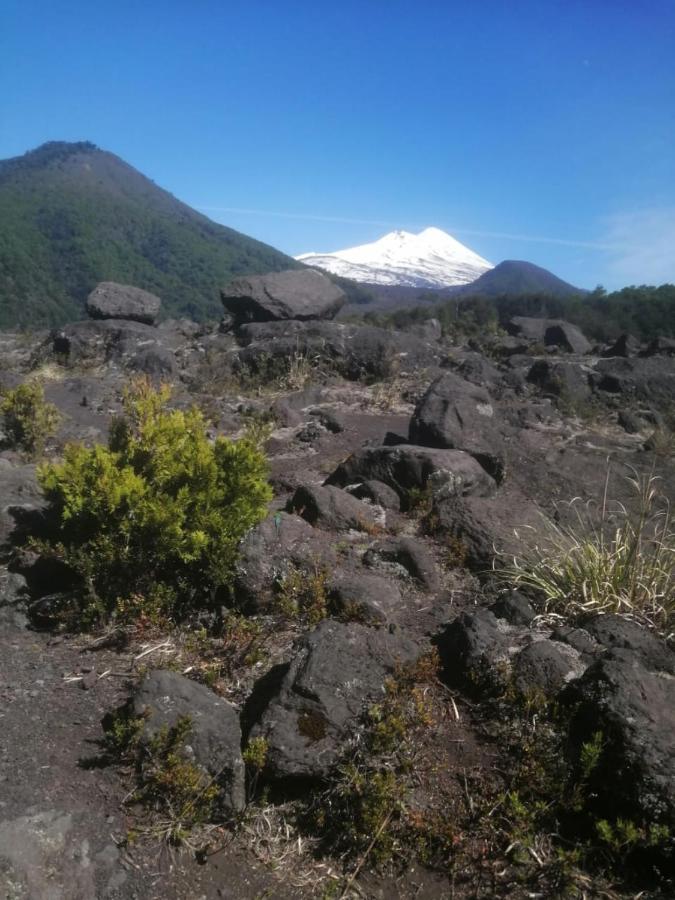 Cabaña para 3 en Melipeuco cerca del Parque Nacional Conguillio Bagian luar foto