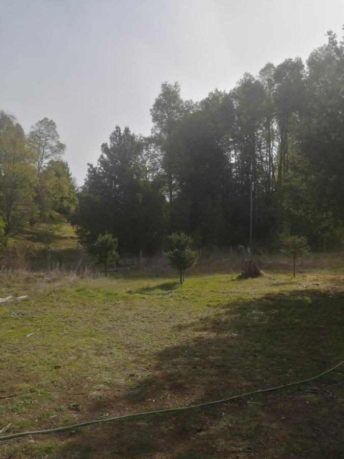 Cabaña para 3 en Melipeuco cerca del Parque Nacional Conguillio Bagian luar foto