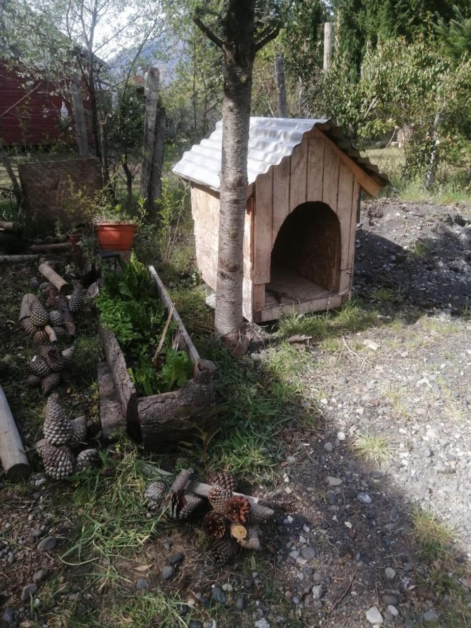 Cabaña para 3 en Melipeuco cerca del Parque Nacional Conguillio Bagian luar foto