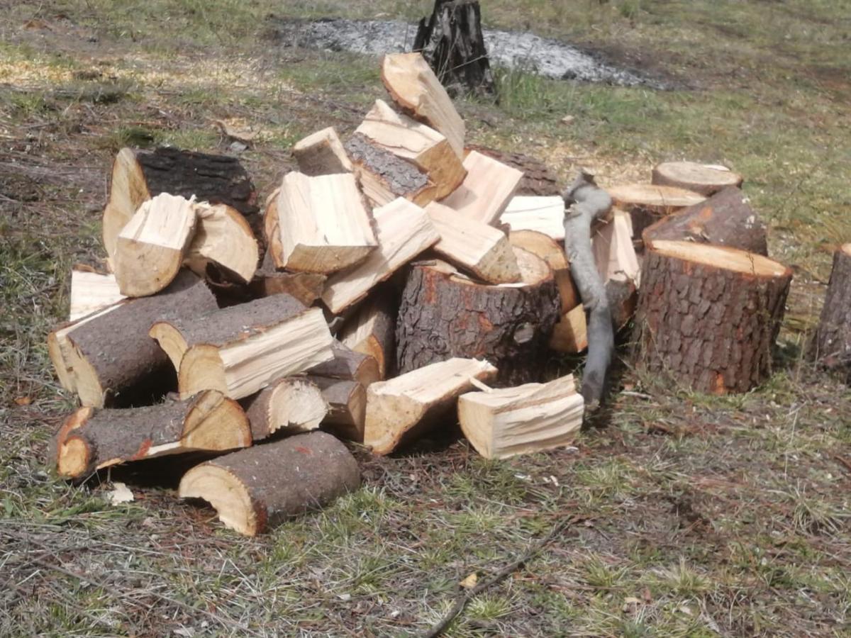 Cabaña para 3 en Melipeuco cerca del Parque Nacional Conguillio Bagian luar foto