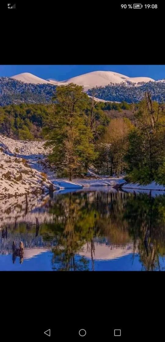 Cabaña para 3 en Melipeuco cerca del Parque Nacional Conguillio Bagian luar foto