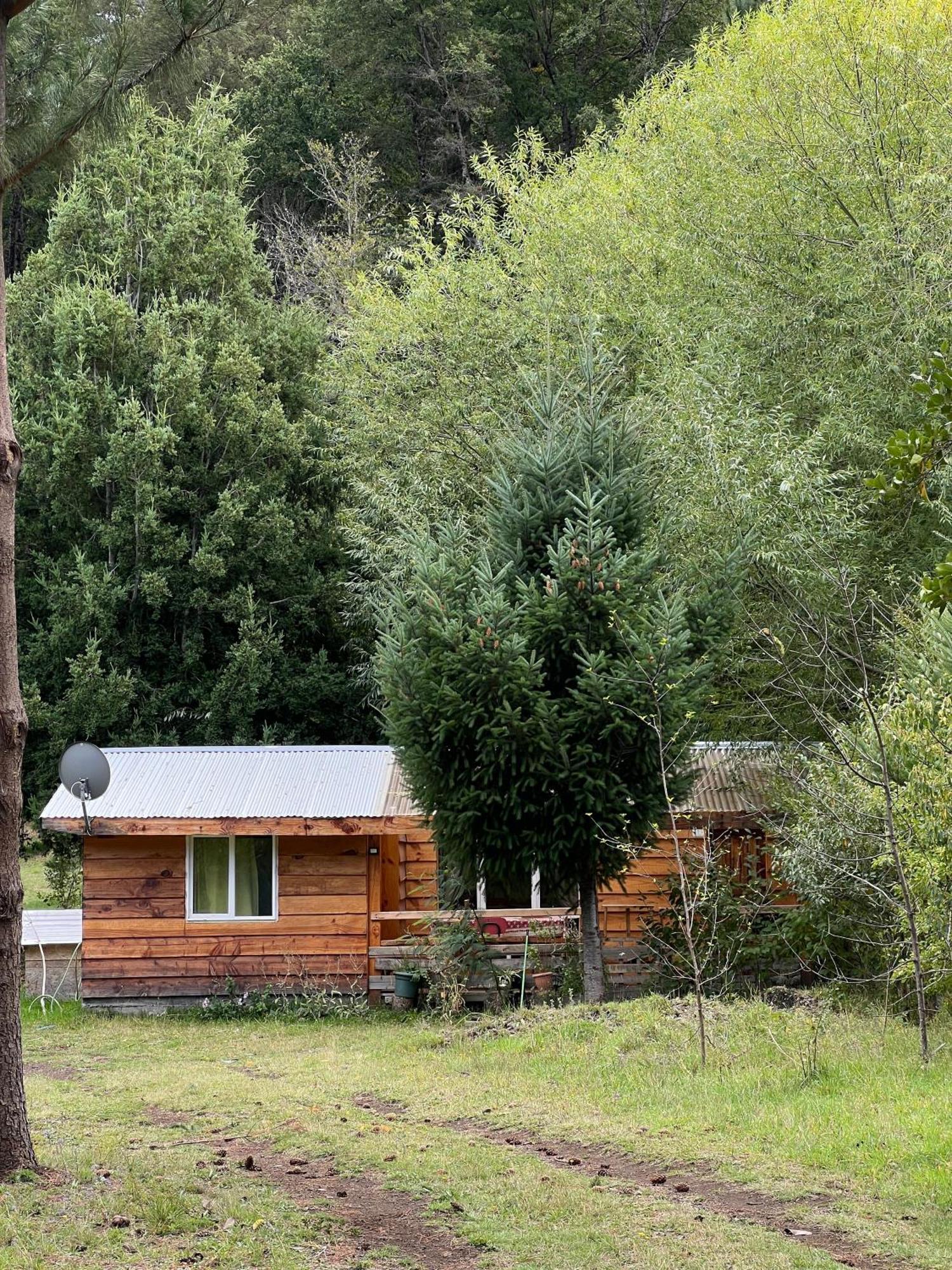 Cabaña para 3 en Melipeuco cerca del Parque Nacional Conguillio Bagian luar foto