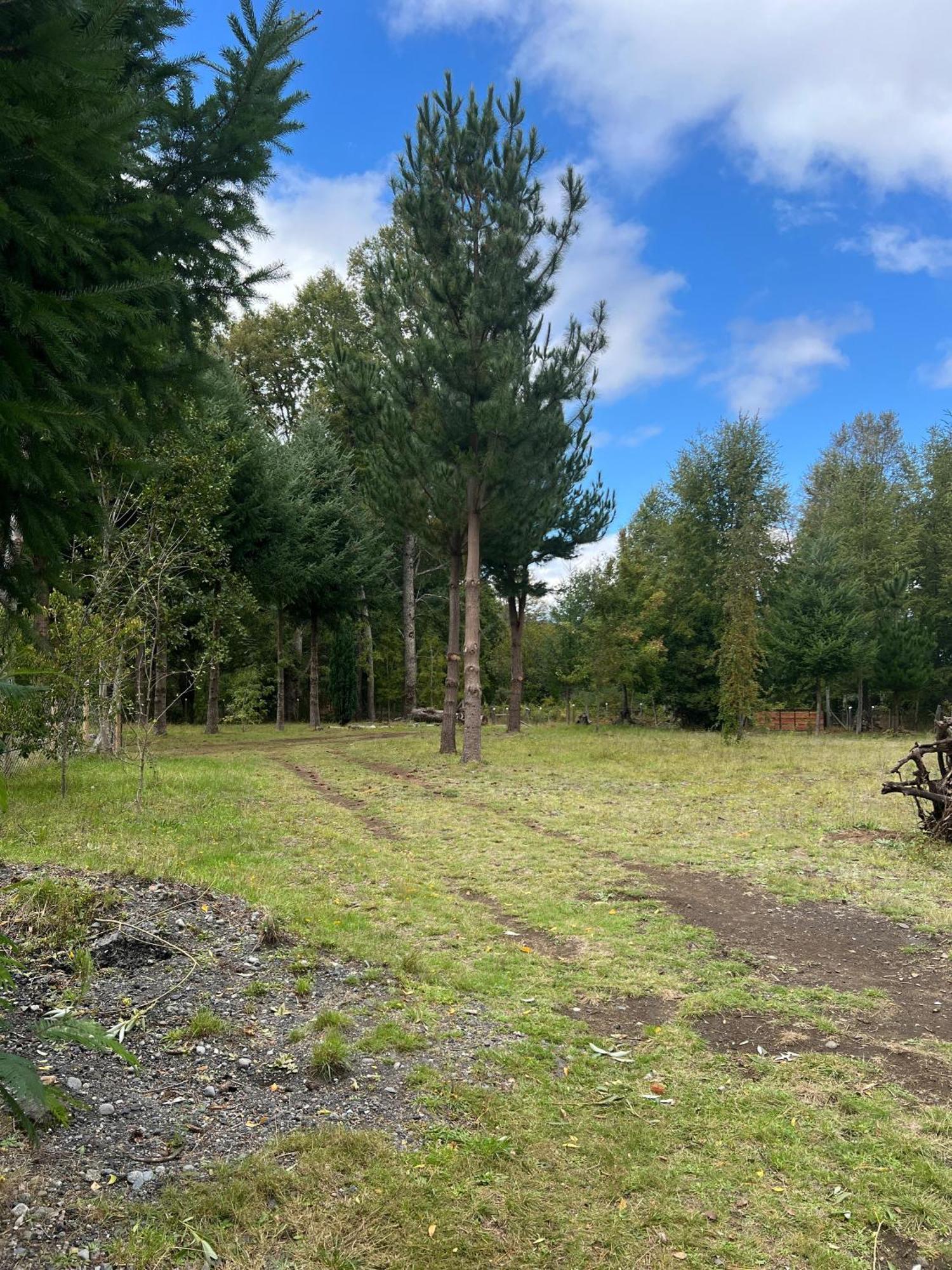 Cabaña para 3 en Melipeuco cerca del Parque Nacional Conguillio Bagian luar foto